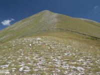 2019-07-06 P. Borghese e Porche 379